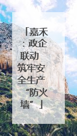 嘉禾：政企联动 筑牢安全生产“防火墙”